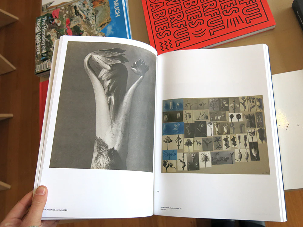 Jan Dibbets - Pandora's Box: On Another Photography - Image 4