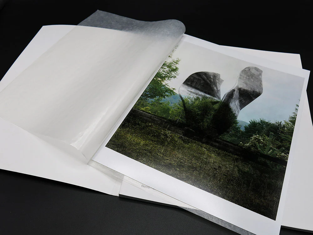 Jan Kempenaers – Composite (Rare, with Signed Print) - Image 3