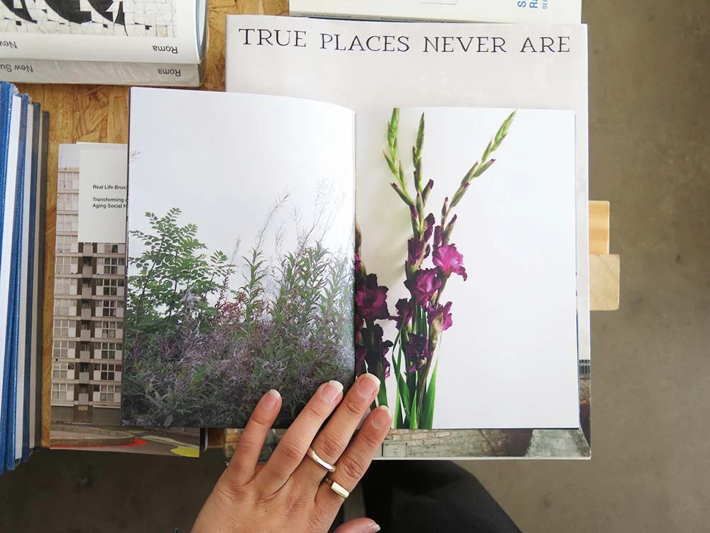 Jane Cummins – Marrow - Image 5