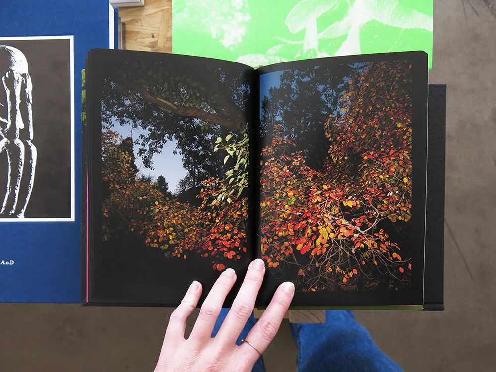 Jane Wilcox – Between Dog and Wolf - Image 8