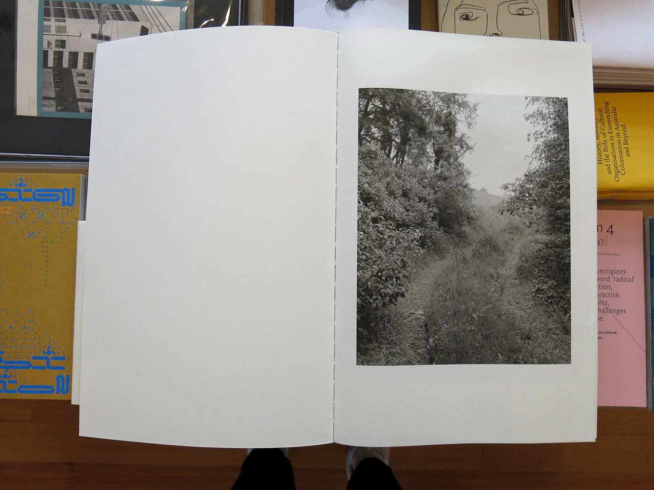 Jenia Fridlyand – Entrance to Our Valley - Image 3