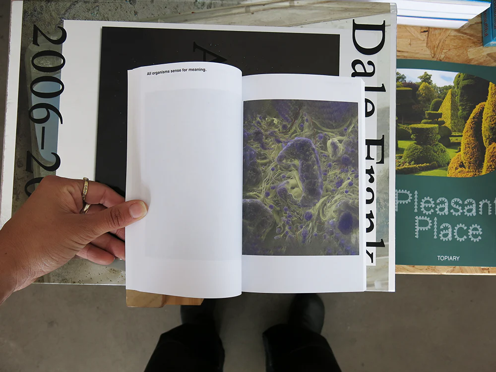 Jerry Galle – A Memory is a Delay is a Memory - Image 7