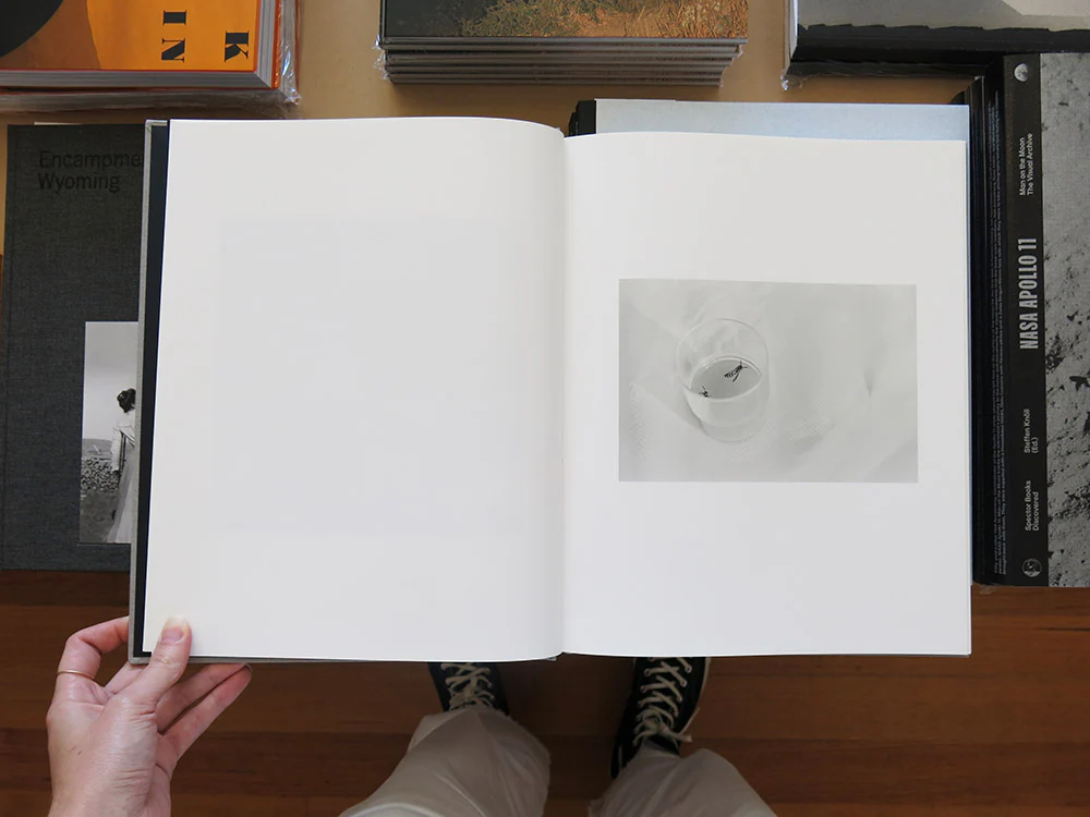 Jesse Lenz – The Locusts - Image 3