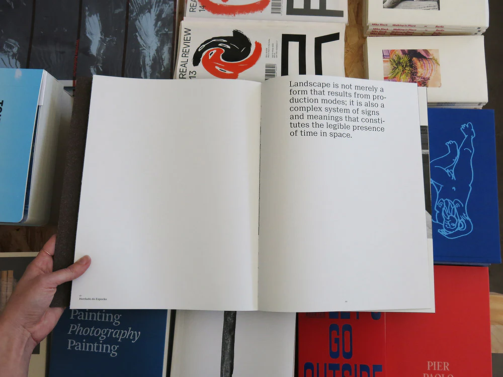 João Gomes da Silva – The Order of Landscape - Image 5