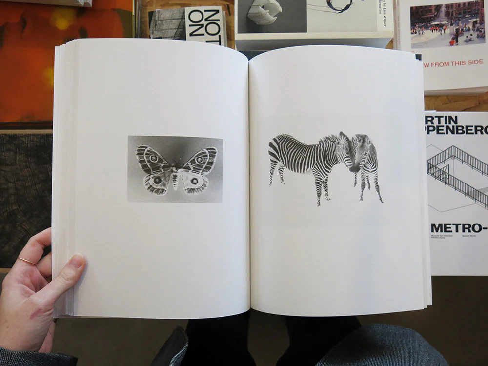 Jochen Lempert – Paare / Pairs - Image 8