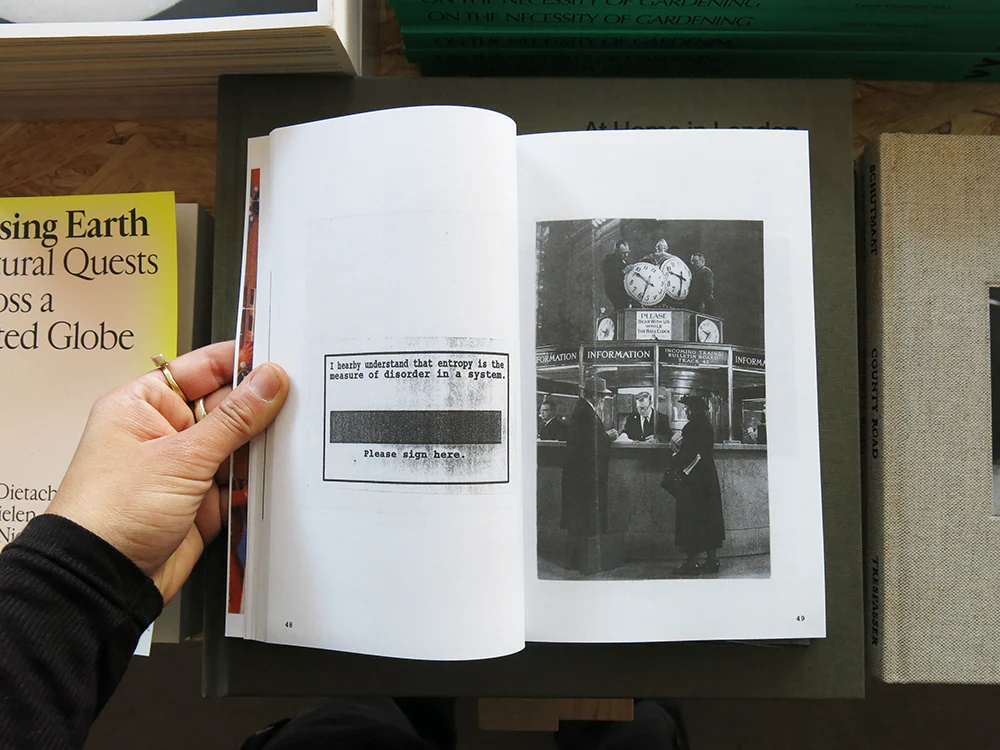 Jocko Weyland – Elk - Image 5