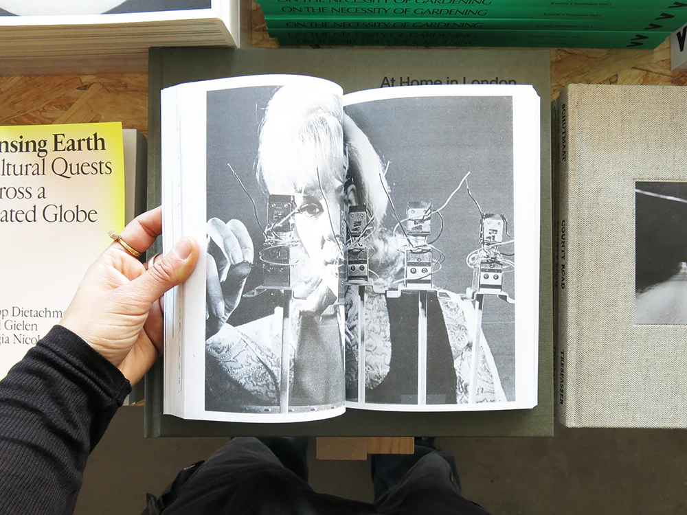 Jocko Weyland – Elk - Image 7