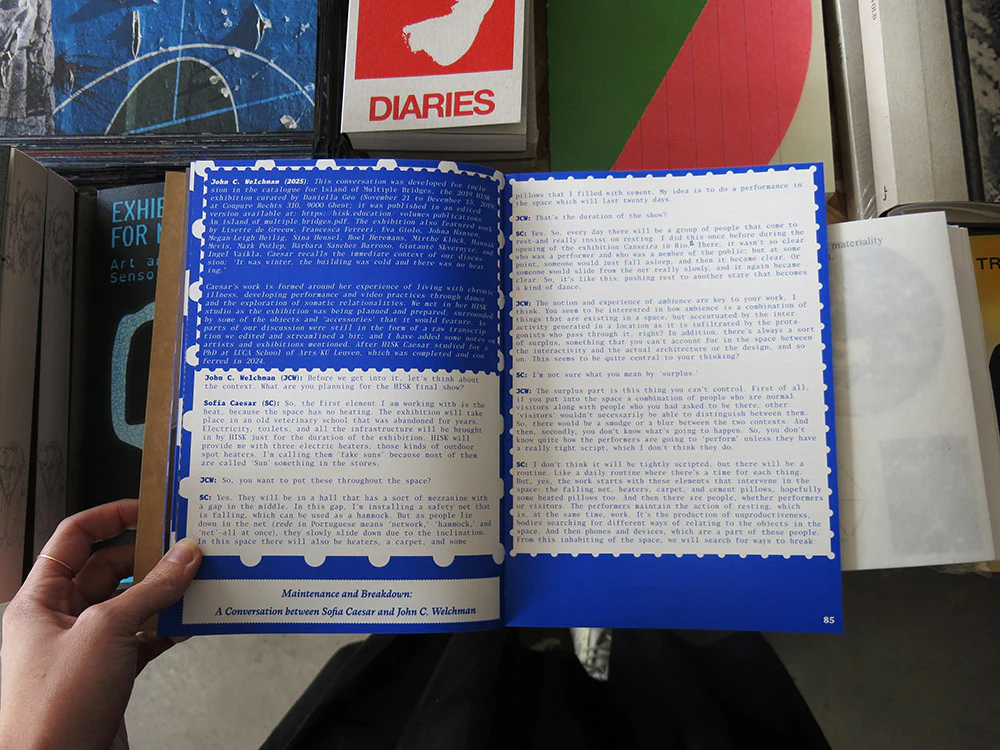 John C. Welchman – Homing In, Sharing Knowledge: Notes and essays on HISK laureates, 2016–23 - Image 5