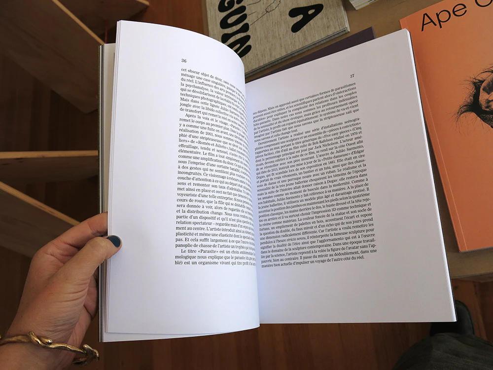 Julião Sarmento - La Chose, Même - Image 4