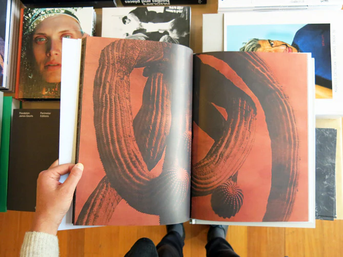 Jungjin Lee - Desert - Image 10