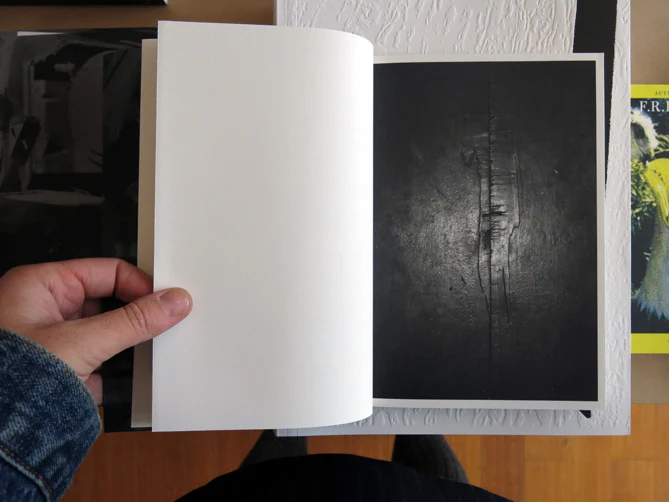 Justine Kurland and John Yau - Black Threads from Meng Chiao - Image 4