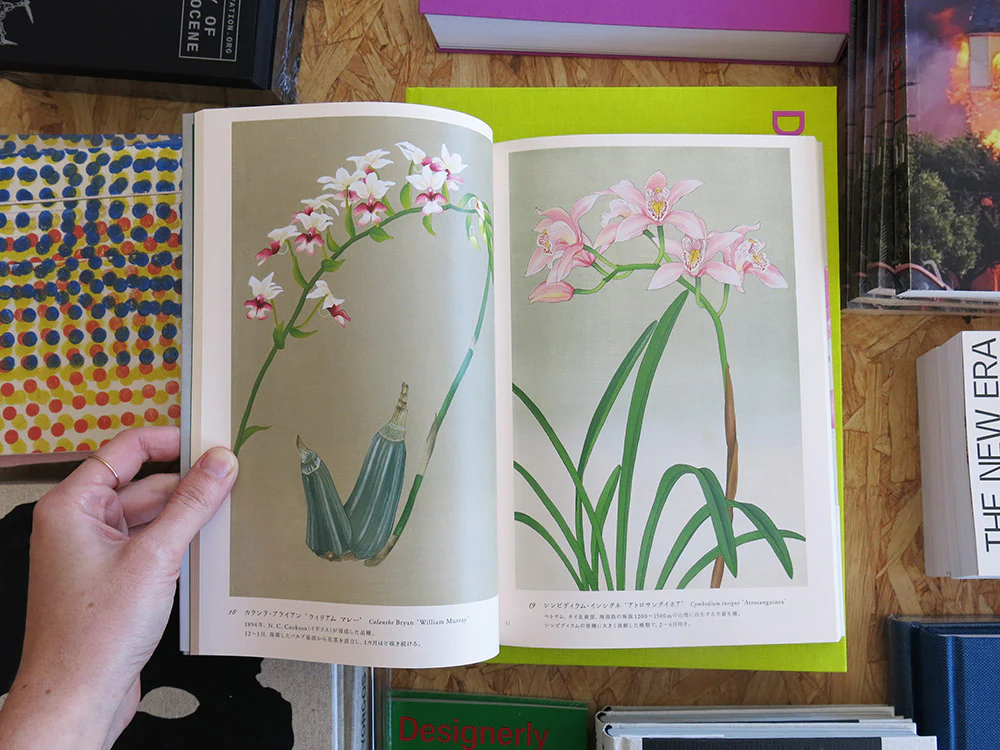Kaga Shotaro – Rankafu: Japanese Woodblock Prints of Orchids - Image 3
