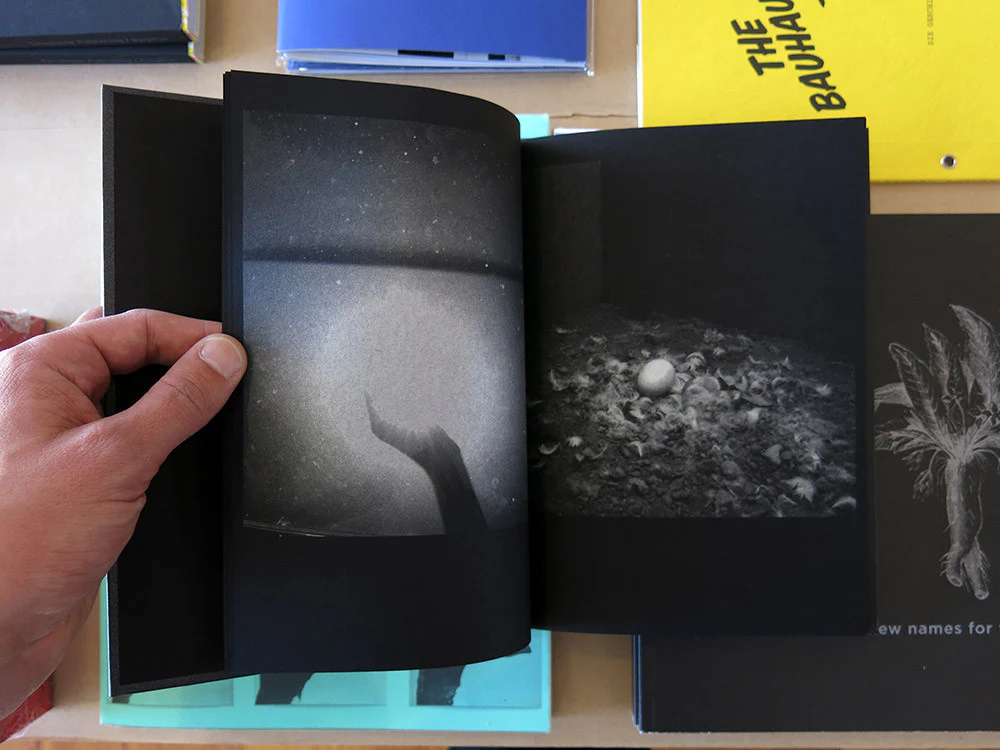 Katrin Koenning and Sarker Protick - Astres Noirs - Image 3