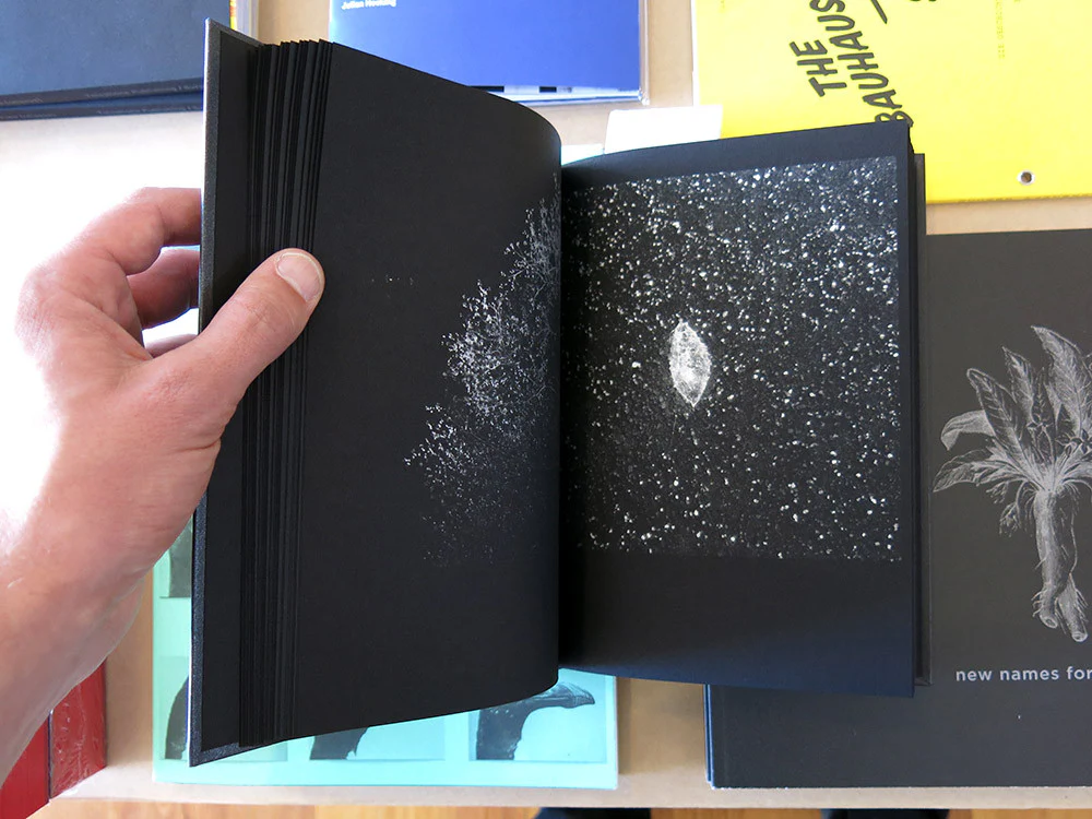 Katrin Koenning and Sarker Protick - Astres Noirs - Image 6