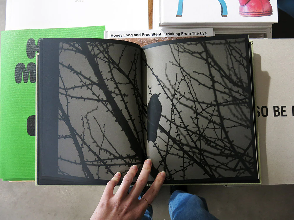 Kyunghee Lee – On Birds (Des oiseaux) - Image 7
