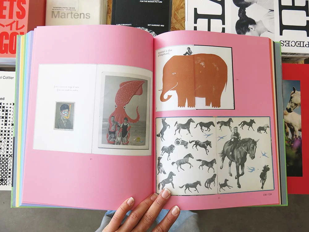 L is for Look: Children’s Photobooks - Image 6