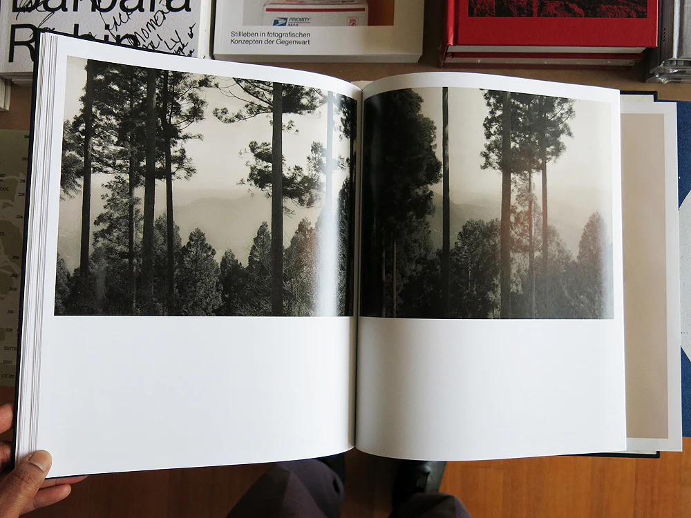 Lena C. Emery – Yuka & The Forest (With Print) - Image 8