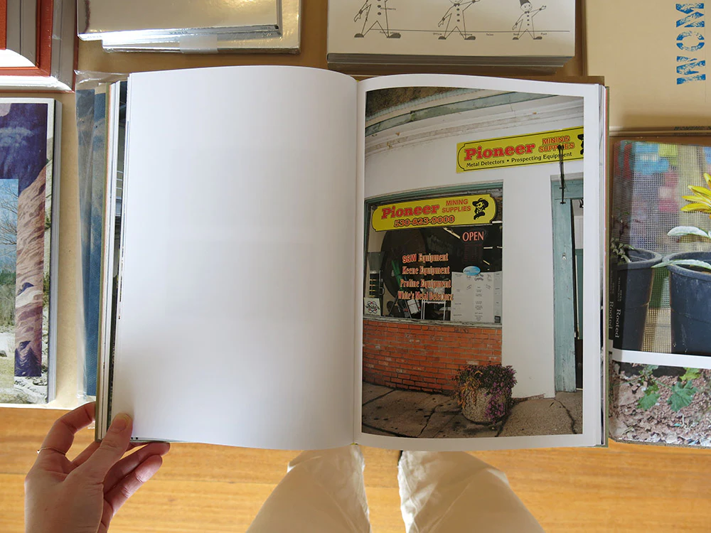 Lisa Barnard – The Canary and The Hammer - Image 6