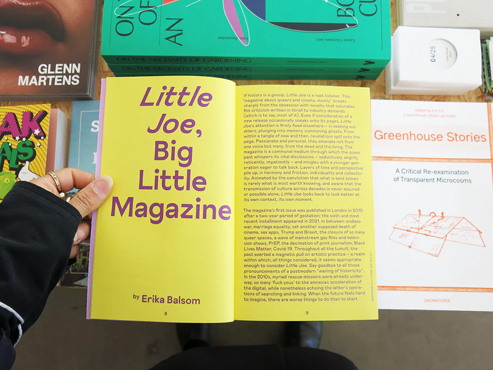 Little Joe: A book about queers and cinema, mostly - Image 2