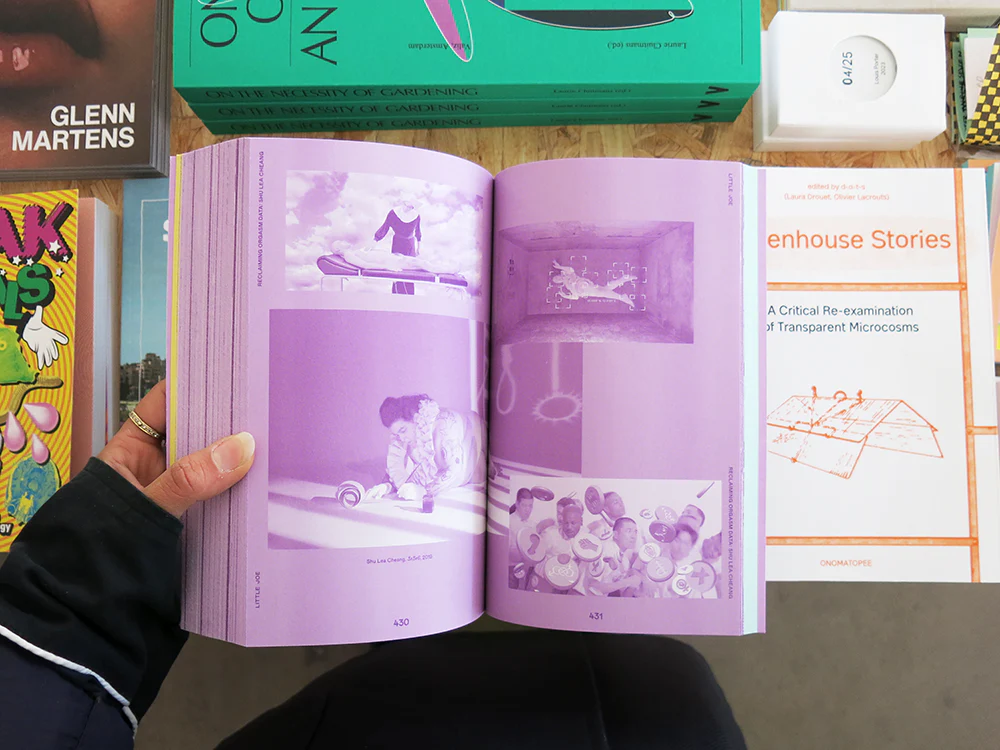 Little Joe: A book about queers and cinema, mostly - Image 6