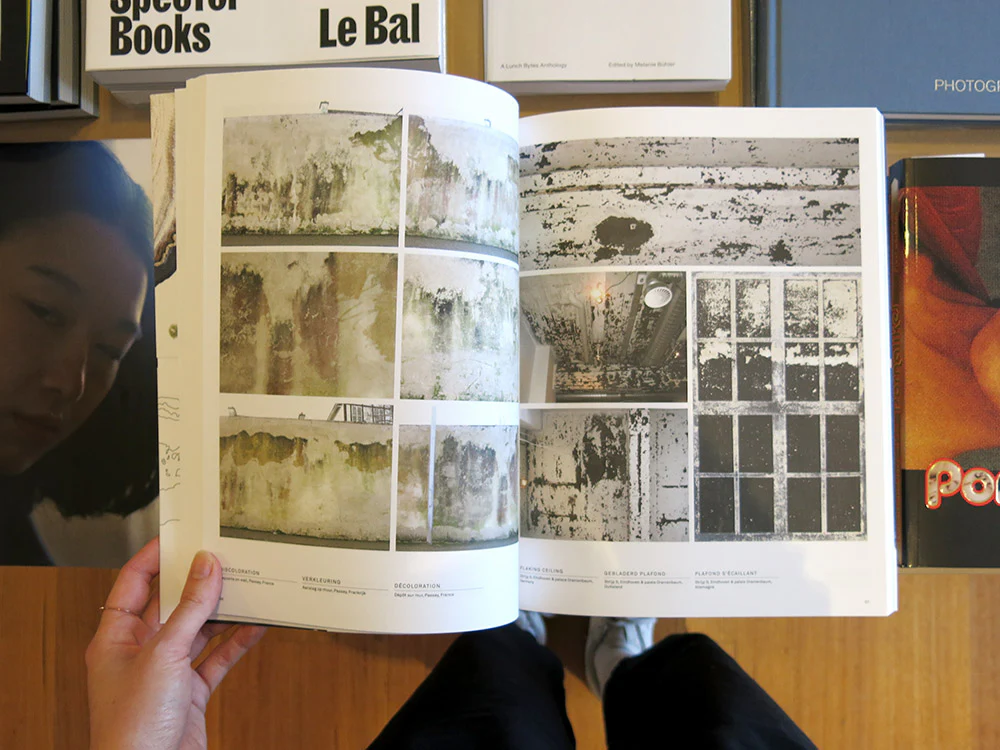 Lizan Freijsen – The Living Surface: An Alternative Biology Book on Stains - Image 4