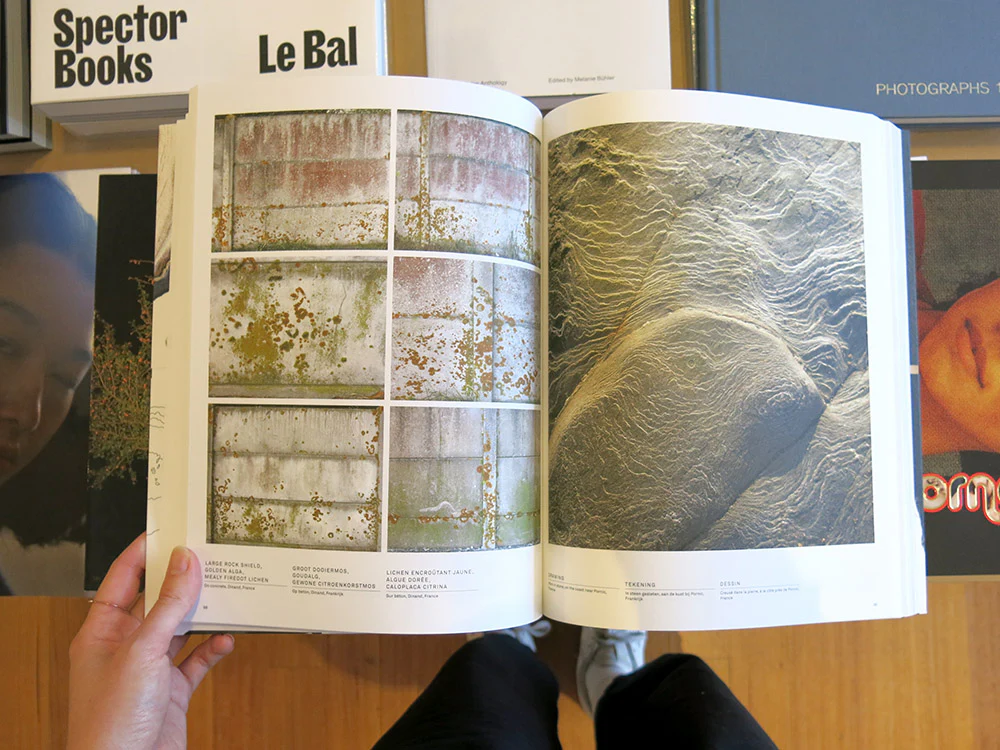Lizan Freijsen – The Living Surface: An Alternative Biology Book on Stains - Image 6
