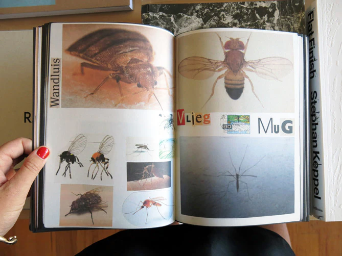 Lous Martens - Animal Books For/ Dierenboeken Voor Jaap Zeno Anna Julian Luca - Image 4
