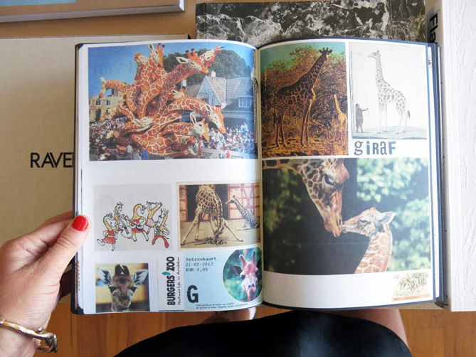 Lous Martens - Animal Books For/ Dierenboeken Voor Jaap Zeno Anna Julian Luca - Image 7