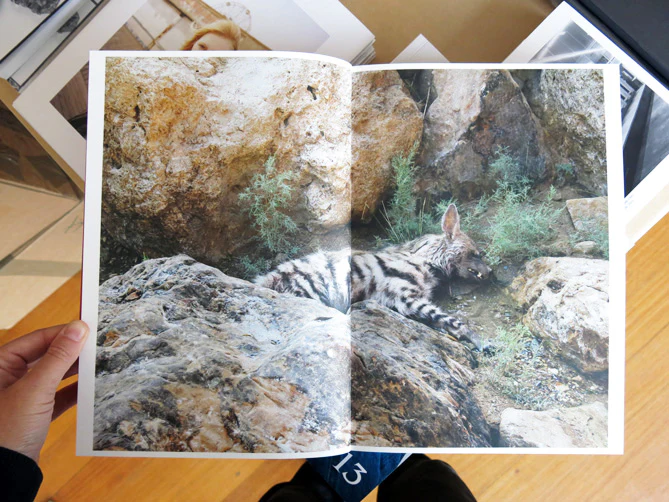 Lynn Alleva Lilley – Tender Mint - Image 3