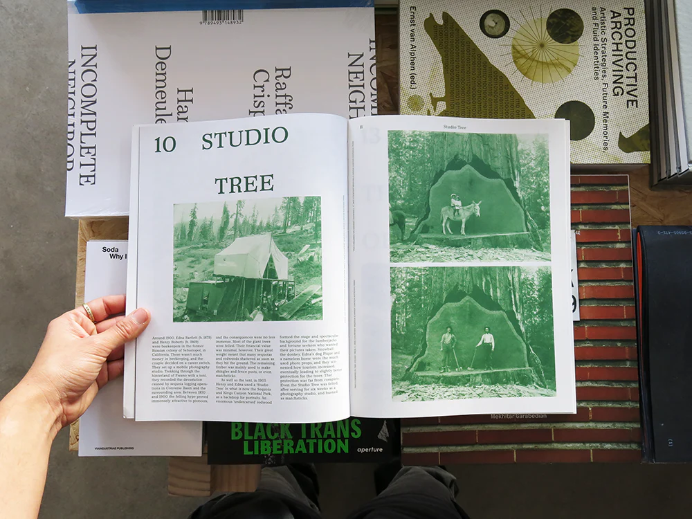 MacGuffin 12: The Log - Image 2