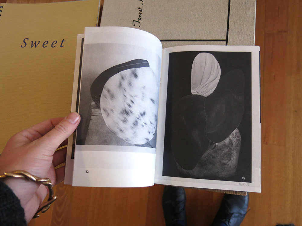 Malin Gabriella Nordin - Fruits of Yesterday’s Harvest - Image 2