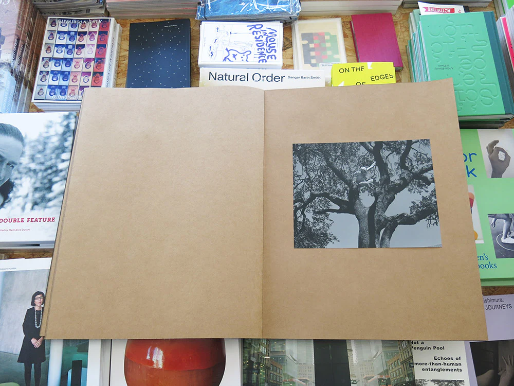 Mark Armijo McKnight – Posthume - Image 8