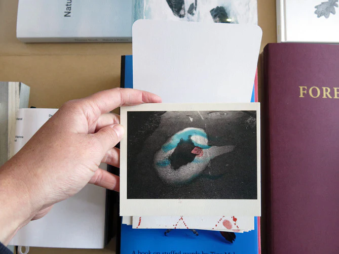 Masahisa Fukase - Hibi Postcards - Image 5