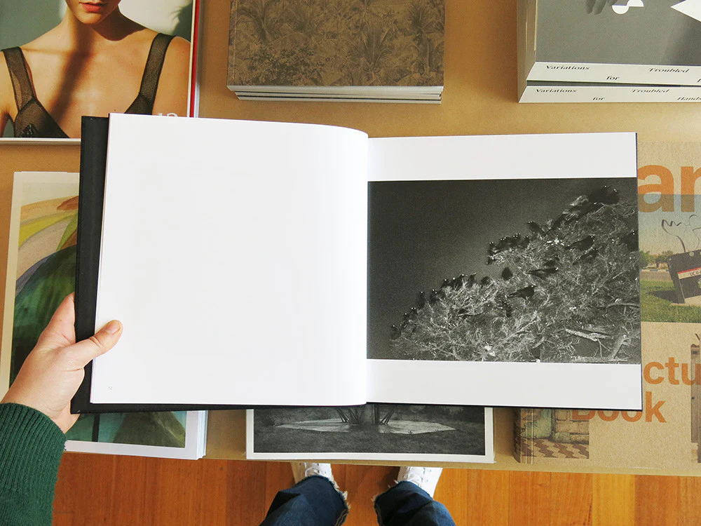 Masahisa Fukase – Ravens - Image 4