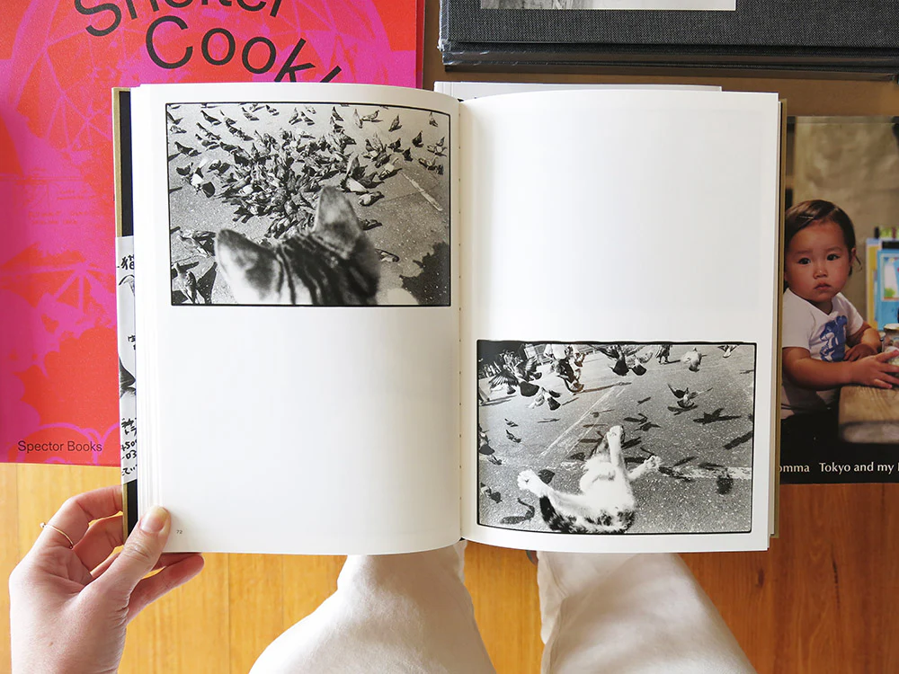 Masahisa Fukase – Sasuke - Image 5