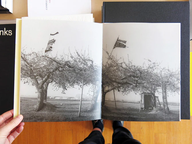 Masako Tomiya - Kito - Image 7