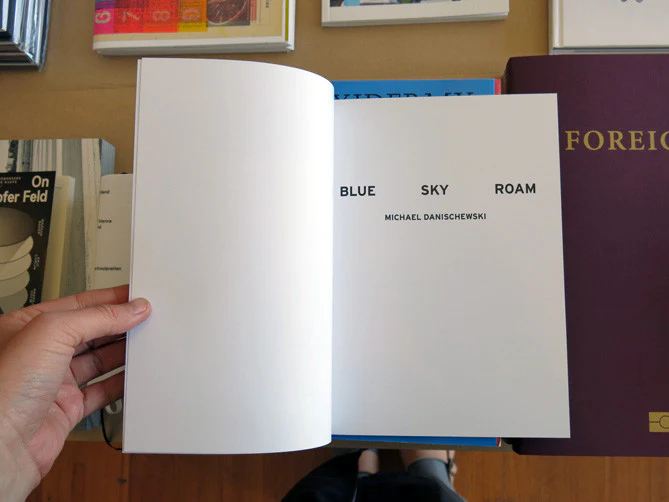 Michael Danischewski - Blue Sky Roam - Image 2