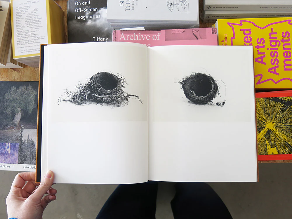 PRE-ORDER: Nathalie Baetens – On Birds (Des oiseaux) - Image 4