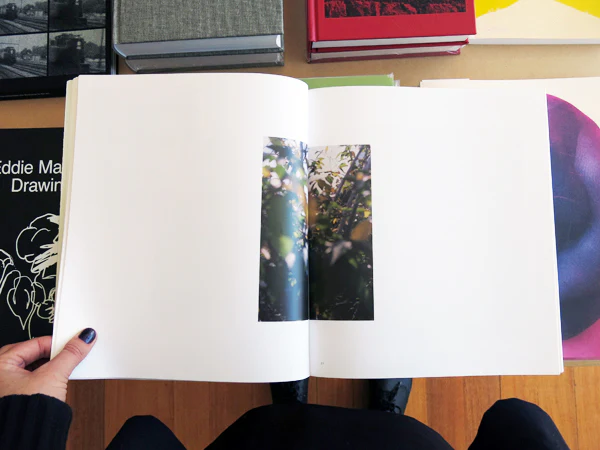 Nicholas Gottlund - Holding the Frame - Image 3