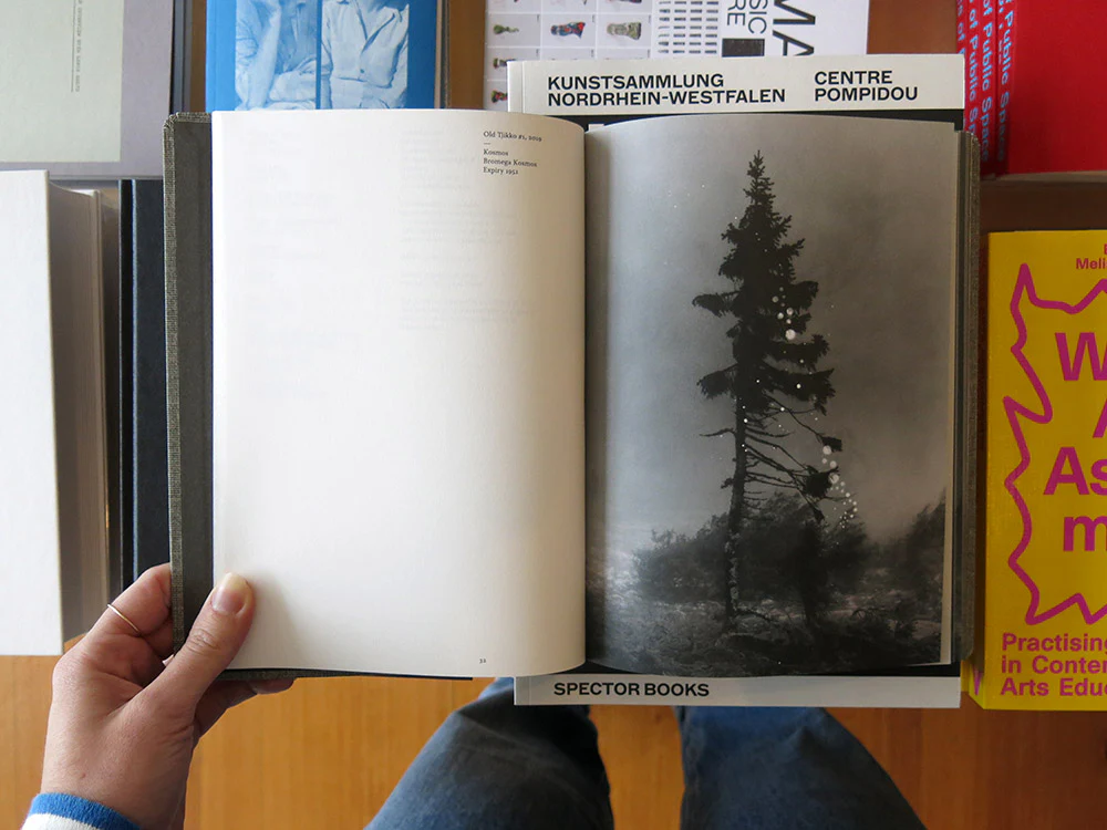 Nicolai Howalt – Old Tjikko - Image 3