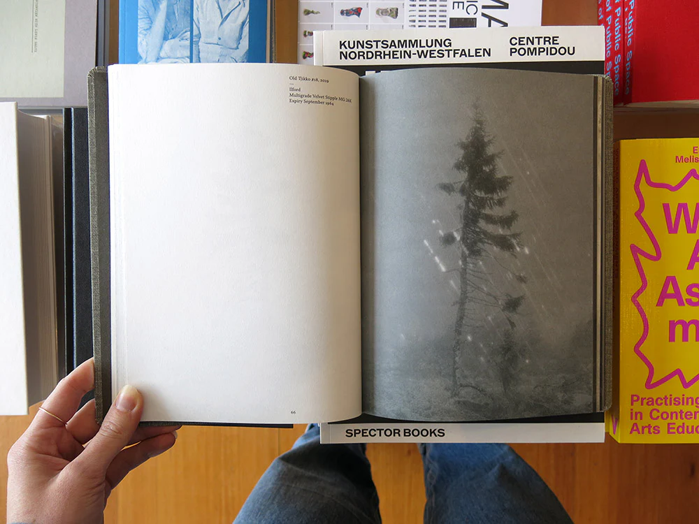 Nicolai Howalt – Old Tjikko - Image 6
