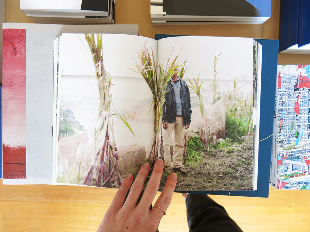 Notes from the Underdog: Agriculture for Subsistence in Porto - Image 7