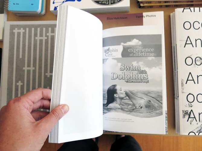 On Dolphins - Image 10