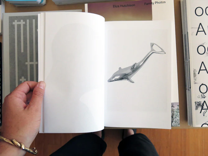 On Dolphins - Image 2