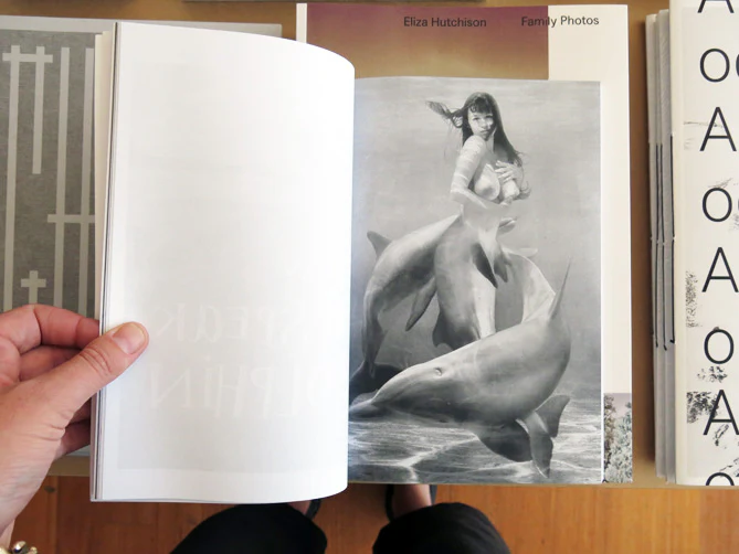 On Dolphins - Image 4