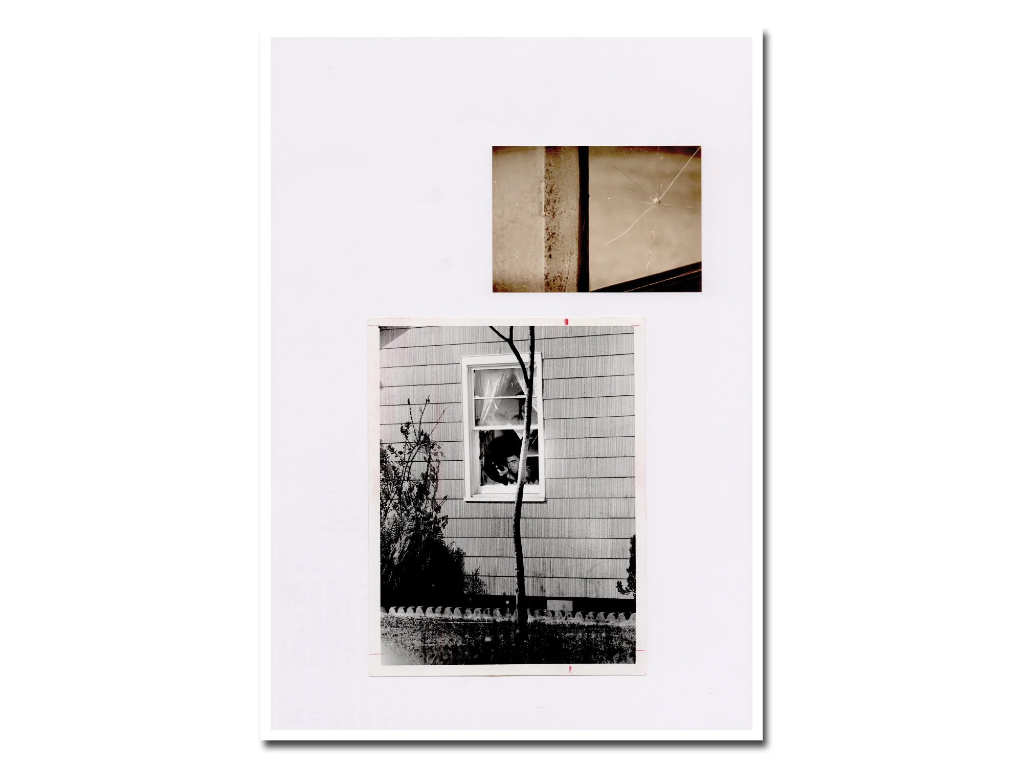 Patrick Pound – Windows - Image 13