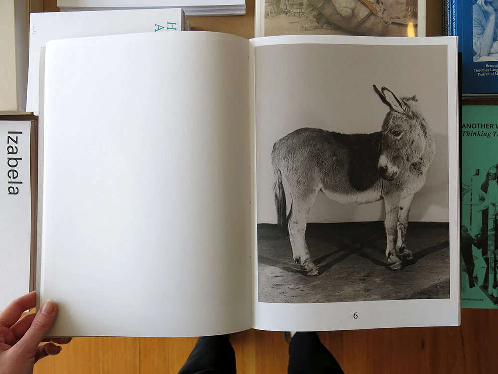 Paul Kooiker – The Rumour - Image 4