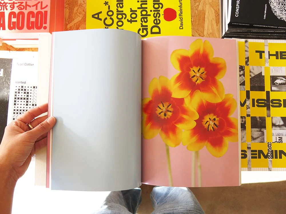 Paula Codoner – The Chromatics of Flowers - Image 2
