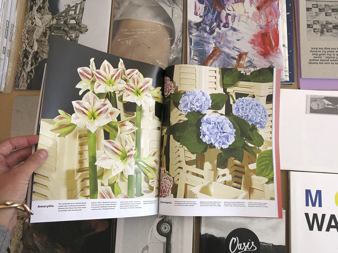 Pin-Up 17: The Post-normal Issue - Image 6