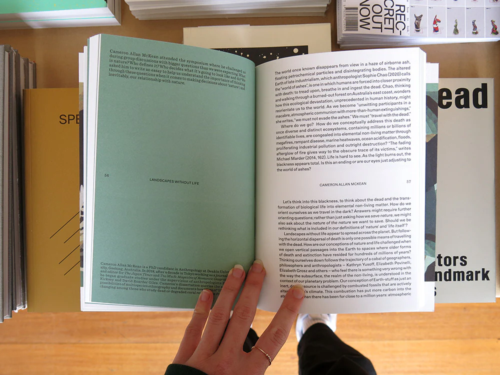 Landscape as Protagonist - Image 5